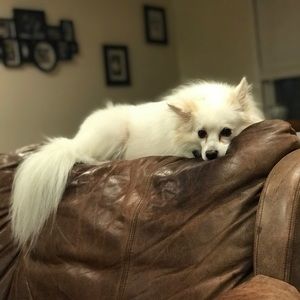 Meet your Posher, Brooke